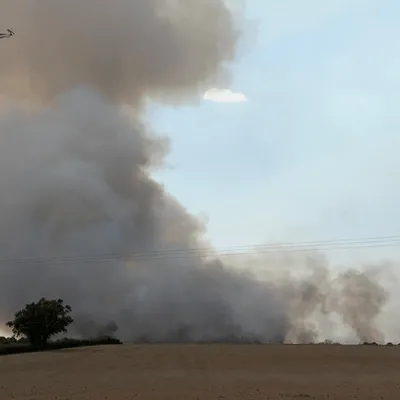 Une centaine d'hectares de végétation brûlés dans la Vienne, le feu...