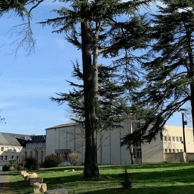 Des essais cliniques clandestins dans une abbaye de la Vienne : le...