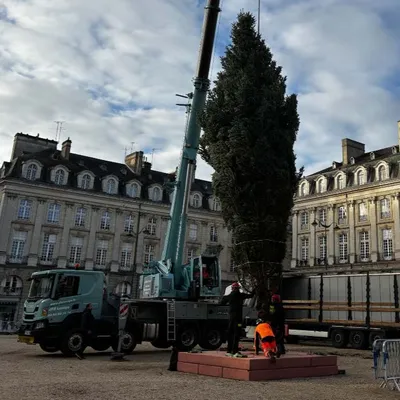 "C’est le feu vert des fêtes", un sapin de Noël de 13 mètres...