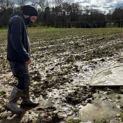 "Ça sent la vase, et il y a des algues", les maraîchers bretons...