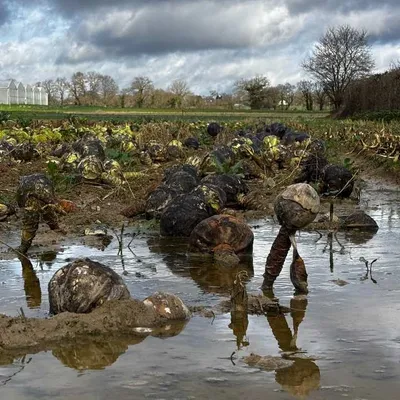 "Ce n'est pas un bilan satisfaisant" : hiver compliqué pour les...