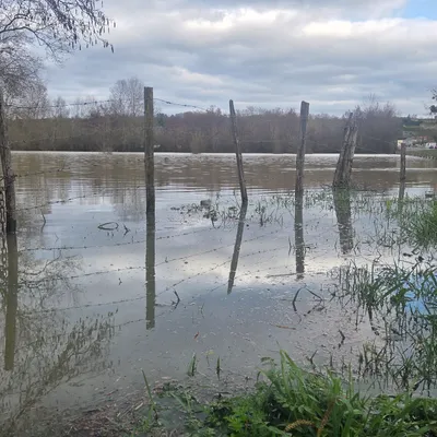 Février : le mois de tous les records