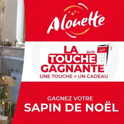 LA TOUCHE GAGNANTE - Alouette vous offre votre sapin de Noël !