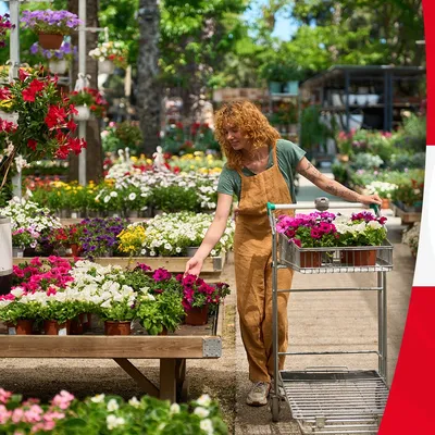 LA TOUCHE GAGNANTE - Alouette vous offre un bon d'achat de 100€ en...