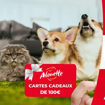 LA TOUCHE GAGNANTE - Alouette vous offre une carte cadeau de 100€...