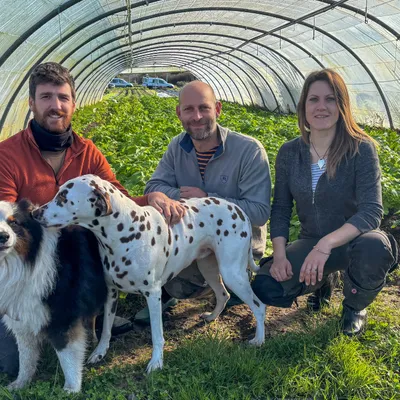 Vendée : "encore deux semaines sans pluie," pour les maraîchers...