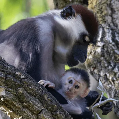 Carnet rose en Bretagne : une naissance pleine d'espoir aux Terres...