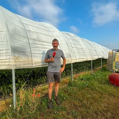 Canicule en Vendée : comment des maraîchers ont sauvé leurs récoltes