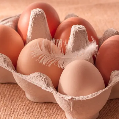  Y’a-t-il une pénurie d’œufs dans les grandes surfaces ? 