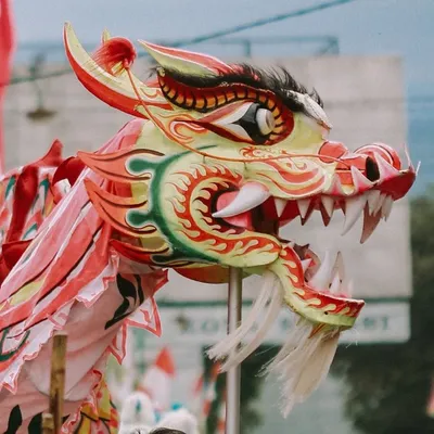 Le nouvel an chinois : quelle est cette fête qui remplit nos rues...