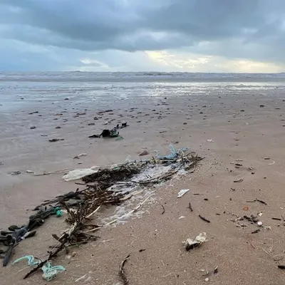 Le retour des nettoyages de plages