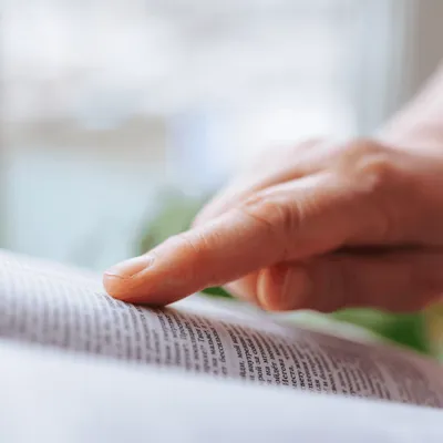  "Crush", "virilisme", "tataki" : ces mots qui entrent au dictionnaire