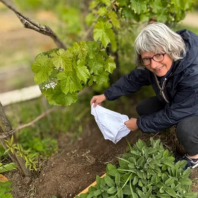 Pourquoi 29 slips sont enterrés à Nantes ? 