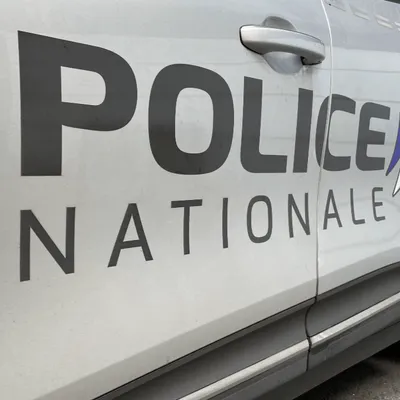 Saint-Nazaire : un homme interpellé après avoir poignardé son chien