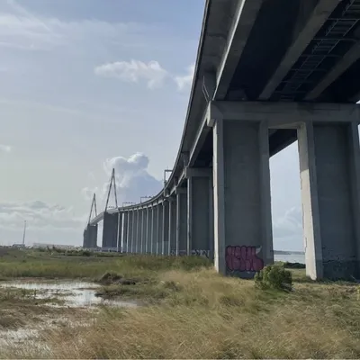 Suicide sur le pont de Saint-Nazaire : 2 interventions à 10 heures...