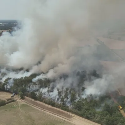 Deux-Sèvres : un feu de forêt mobilise une quarantaine de...