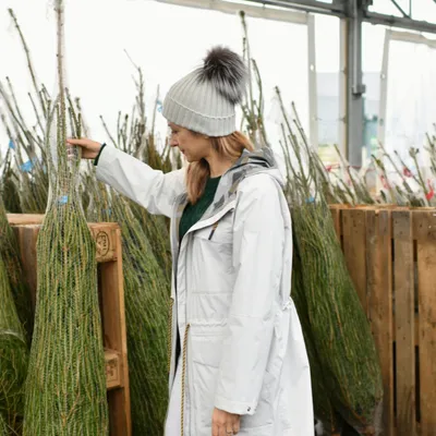 Pourquoi votre sapin de Noël risque de coûter plus cher cette année