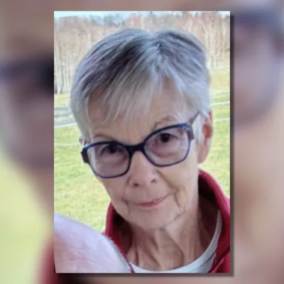 Un appel à témoins et une battue après une disparition inquiétante...