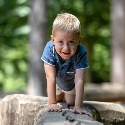 Téléthon 2025 : " Pour Noé, c'est une jolie parenthèse dans un...