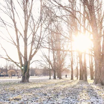 Neige, froid : que nous réserve le ciel de nos régions pour Noël ?
