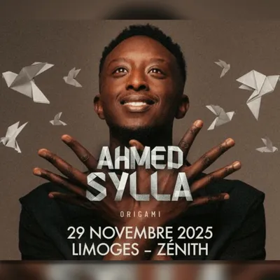 Gagnez vos places pour le spectacle d'Ahmed Sylla à Limoges !