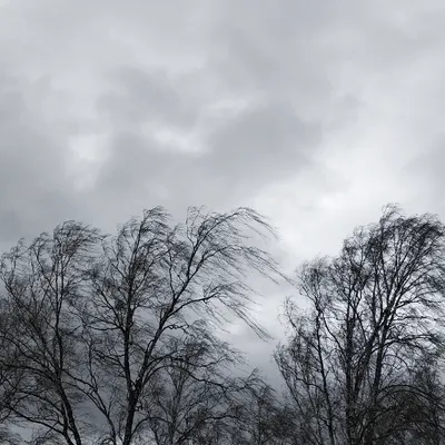 Héloïse, Paola, Thomas : découvrez les noms des futures tempêtes