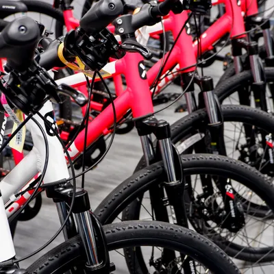 Ils volaient des vélos haut de gamme avec des cannes à pêche : 5...