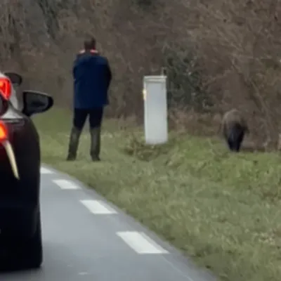 Indignation après les tirs d'un chasseur de l'Indre au bord d'une...
