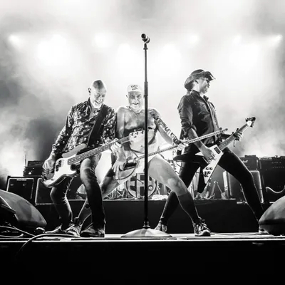 Elmer Food Beat fête ses 40 ans : un documentaire recherche des...