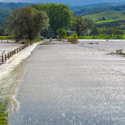 Loire-Atlantique : un homme retrouvé sans vie à côté de son...