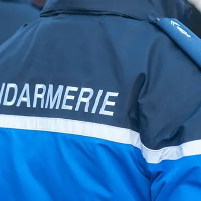 Lycéenne poignardée à Ancenis : le geste du suspect était...