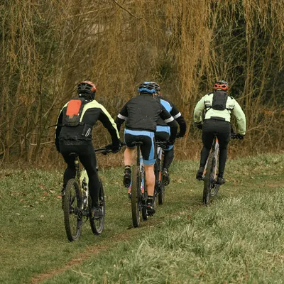 Plusieurs dizaines de cyclistes attaqués par des frelons, les...