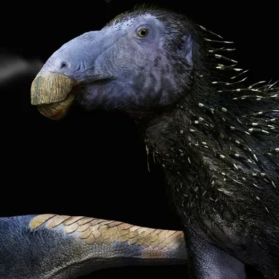 "Il avait des épines un peu comme un hérisson", un nouveau...