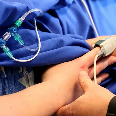 Record de greffes d’organes en France ! 