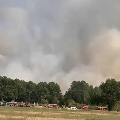 Important feu de forêt dans le Maine-et-Loire, des pompiers arrivés...