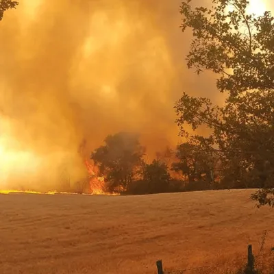 Canicule : les pompiers plus que jamais mobilisés sur des incendies
