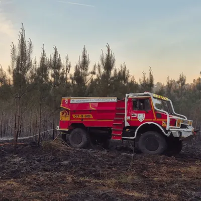 Premier feu de forêt de la saison en Charente-Maritime