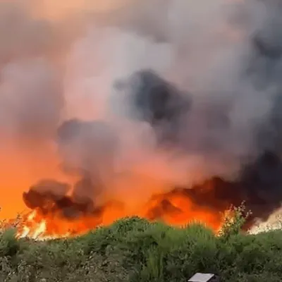 Plus de 200 hectares ravagés par les flammes au sud de Rennes, des...
