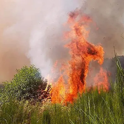 Les gendarmes sur la piste d'un pyromane en Touraine