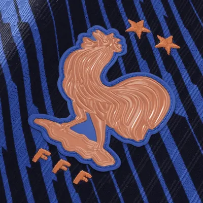 Nouveaux maillots pour l'Équipe de France de foot : découvrez-les !