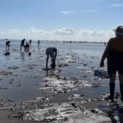 Grandes marées : de forts coefficients attendus sur le littoral...