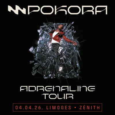 Gagnez vos places pour le concert de Matt Pokora au Zénith de...