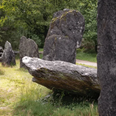 Destruction de menhirs à Carnac : la justice déboute des...