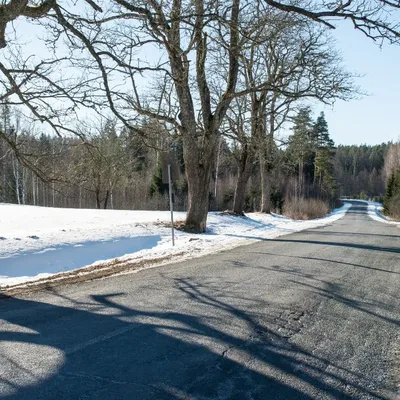 Il a neigé dans l'Ouest cette nuit !