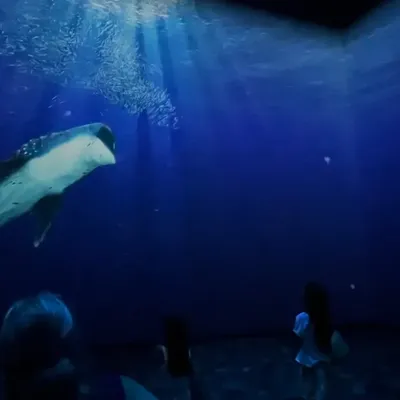 Ces sites touristiques de nos régions rouvrent leurs portes à...