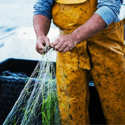 La pêche de nouveau interdite en 2027 dans le Golfe de Gascogne