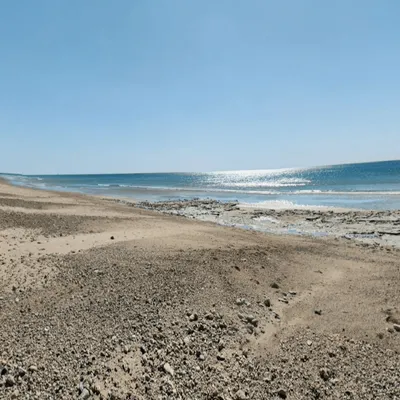 Appel à témoins après la découverte d'un corps sur une plage des...