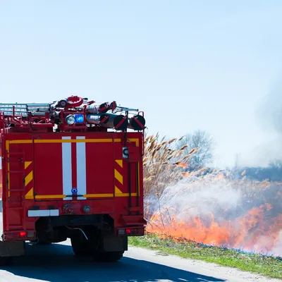 Indre : un incendie ravage 30 hectares de végétation dans la Brenne