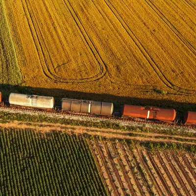 Sept militants écologistes condamnés après avoir bloqué et vidé un...