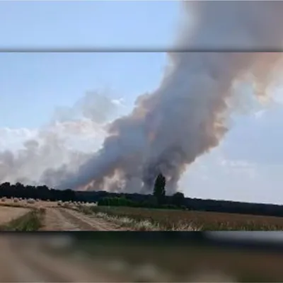 Canicule : près de 100 hectares de forêt brûlés dans un incendie en...